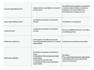 DAVID SUMERENTE TORRES
 