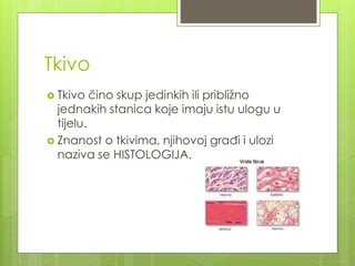 Tkivo
 Tkivo čino skup jedinkih ili približno
jednakih stanica koje imaju istu ulogu u
tijelu.
 Znanost o tkivima, njihovoj građi i ulozi
naziva se HISTOLOGIJA.
 