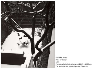KERTÉSZ, André
Patio In Winter
1955
Photographs Gelatin silver print 24.29 × 19.69 cm
The Marjorie and Leonard Vernon Collection.
 