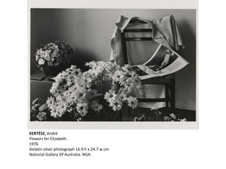 KERTÉSZ, André
Flowers for Elizabeth.
1976
Gelatin silver photograph 16.9 h x 24.7 w cm
National Gallery Of Australia. NGA
 