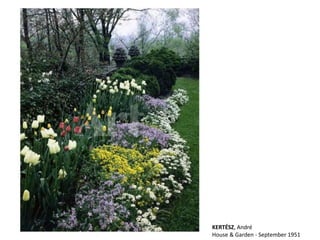 KERTÉSZ, André
House & Garden - September 1951
 