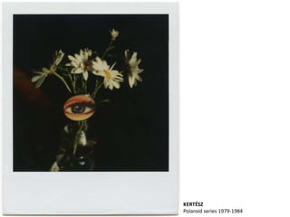KERTÉSZ
Polaroid series 1979-1984
 