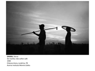 OHARA, Haruo
De manhã, indo colher café
1940
Chácara Arara, Londrina. PR
Acervo Instituto Moreira Salles
 