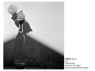 OHARA, Haruo
Flor
1950 década
Londrina - PR - Brasil
Acervo Instituto Moreira Salles
 