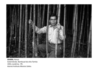 OHARA, Haruo
Autorretrato. Bambuzal do sítio Tomita
1953, Londrina - PR.
Acervo Instituto Moreira Salles
 