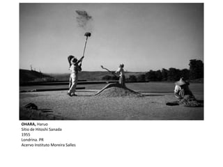 OHARA, Haruo
Sítio de Hitoshi Sanada
1955
Londrina. PR
Acervo Instituto Moreira Salles
 