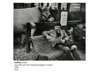 KERTÉSZ, André
Cow stalls and man reading newspaper on bench
1928
Paris
 