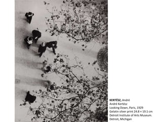KERTÉSZ, André
André Kertész
Looking Down, Paris, 1929
Gelatin silver print 24.8 × 19.1 cm
Detroit Institute of Arts Museum.
Detroit, Michigan
 
