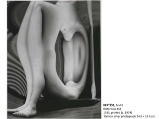 KERTÉSZ, André
Distortion #48
1933; printed (c. 1974)
Gelatin silver photograph 24.6 × 19.5 cm
 