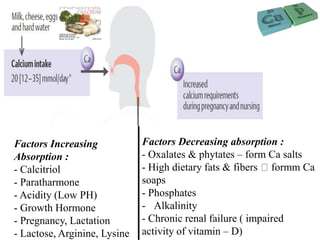 Factors Increasing
Absorption :
- Calcitriol
- Paratharmone
- Acidity (Low PH)
- Growth Hormone
- Pregnancy, Lactation
- Lactose, Arginine, Lysine
Factors Decreasing absorption :
- Oxalates & phytates – form Ca salts
- High dietary fats & fibers formm Ca
soaps
- Phosphates
- Alkalinity
- Chronic renal failure ( impaired
activity of vitamin – D)
 