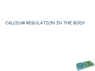 CALCIUM REGULATION IN THE BODY
 