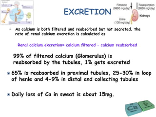EXCRETION
• As calcium is both filtered and reabsorbed but not secreted, the
rate of renal calcium excretion is calculated as
Renal calcium excretion= calcium filtered – calcium reabsorbed
99% of filtered calcium (Glomerulus) is
reabsorbed by the tubules, 1% gets excreted
 65% is reabsorbed in proximal tubules, 25-30% in loop
of henle and 4-9% in distal and collecting tubules
 Daily loss of Ca in sweat is about 15mg.
 