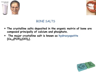 BONE SALTS
 The crystalline salts deposited in the organic matrix of bone are
composed principally of calcium and phosphate.
 The major crystalline salt is known as hydroxyapatite
[Ca10(PO4)6(OH)2].
 