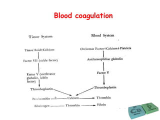 Blood coagulation
 
