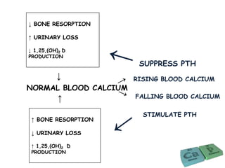 ↓ BONE RESORPTION
↑ URINARY LOSS
↓ 1,25,(OH)2 D
PRODUCTION
↓
NORMAL BLOOD CALCIUM
↑
↑ BONE RESORPTION
↓ URINARY LOSS
↑ 1,25,(OH)2 D
PRODUCTION
SUPPRESS PTH
RISING BLOOD CALCIUM
FALLING BLOOD CALCIUM
STIMULATE PTH
 