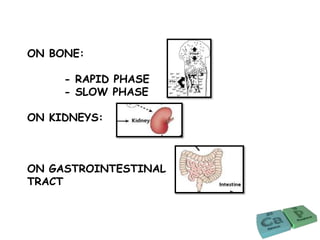 ON BONE:
- RAPID PHASE
- SLOW PHASE
ON KIDNEYS:
ON GASTROINTESTINAL
TRACT
 