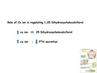 Role of Ca ion in regulating 1,25 Dihydroxycholecalciferol
ca ion 25 Dihydroxycholecalciferol
ca ion - PTH secretion
 