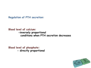 Regulation of PTH secretion:
Blood level of calcium:
-inversely proportional
conditions when PTH secretion decreases
Blood level of phosphate:
- directly proportional
 