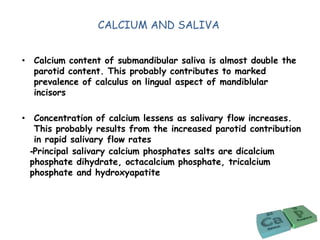 CALCIUM AND SALIVA
• Calcium content of submandibular saliva is almost double the
parotid content. This probably contributes to marked
prevalence of calculus on lingual aspect of mandiblular
incisors
• Concentration of calcium lessens as salivary flow increases.
This probably results from the increased parotid contribution
in rapid salivary flow rates
-Principal salivary calcium phosphates salts are dicalcium
phosphate dihydrate, octacalcium phosphate, tricalcium
phosphate and hydroxyapatite
 