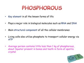 • Key element in all the known forms of life
• Plays a major role in biological molecules such as RNA and DNA
• Main structural component of all the cellular membranes
• Living cells also utilize phosphate to transport cellular energy via
ATP
• Average person contains little less than 1 kg of phosphorous,
about 3quater present in bones and teeth in form of apatite
crystal
 