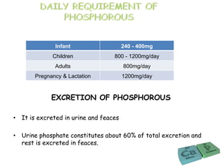 EXCRETION OF PHOSPHOROUS
• It is excreted in urine and feaces
• Urine phosphate constitutes about 60% of total excretion and
rest is excreted in feaces.
Infant 240 - 400mg
Children 800 - 1200mg/day
Adults 800mg/day
Pregnancy & Lactation 1200mg/day
 