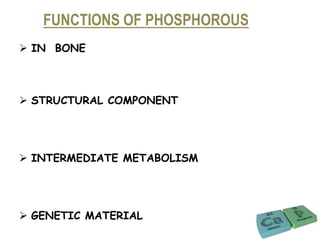  IN BONE
 STRUCTURAL COMPONENT
 INTERMEDIATE METABOLISM
 GENETIC MATERIAL
FUNCTIONS OF PHOSPHOROUS
 