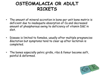 OSTEOMALACIA OR ADULT
RICKETS
• The amount of mineral accretion in bone per unit bone matrix is
deficient due to inadequate absorption of Ca and decreased
amount of phosphorous owing to deficiency of vitamin D&C in
diet.
• Disease is limited to females, usually after multiple pregnancies
&lactation but symptoms tend to clear up after lactation is
completed.
• The bones especially pelvic girdle, ribs & femur become soft,
painful & deformed.
 