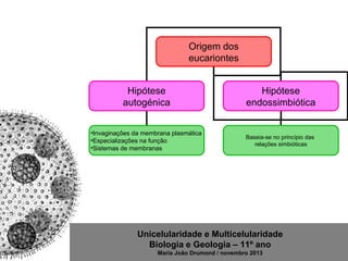 Unicelularidade e Multicelularidade
Biologia e Geologia – 11º ano
Maria João Drumond / novembro 2013
Origem dos
eucariontes
Hipótese
autogénica
Hipótese
endossimbiótica
•Invaginações da membrana plasmática
•Especializações na função
•Sistemas de membranas
Baseia-se no princípio das
relações simbióticas
 