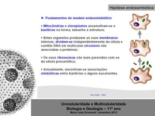 Unicelularidade e Multicelularidade
Biologia e Geologia – 11º ano
Maria João Drumond / novembro 2013
Hipótese endossimbiótica
 