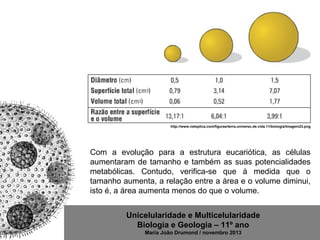Unicelularidade e Multicelularidade
Biologia e Geologia – 11º ano
Maria João Drumond / novembro 2013
http://www.netxplica.com/figuras/terra.universo.de.vida.11/biologia/Imagem23.png
Com a evolução para a estrutura eucariótica, as células
aumentaram de tamanho e também as suas potencialidades
metabólicas. Contudo, verifica-se que à medida que o
tamanho aumenta, a relação entre a área e o volume diminui,
isto é, a área aumenta menos do que o volume.
 