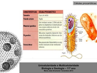 Unicelularidade e Multicelularidade
Biologia e Geologia – 11º ano
Maria João Drumond / novembro 2013
Células procarióticas
 