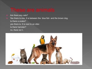 Are there any cats?
 Yes there is one. It is between the blue fish and the brown dog.
Is there a snake?
yes there is. It is next to an otter.
Is there hamster?
no, there isn´t.
 