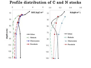 Profile distribution of C and N stocksProfile distribution of C and N stocks
 