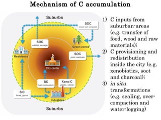 Mechanism of C accumulationMechanism of C accumulation
1) C inputs from
suburban-areas
(e.g. transfer of
food, wood and raw
materials);
2) C provisioning and
redistribution
inside the city (e.g.
xenobiotics, soot
and charcoal);
3) in situ
transformations
(e.g. sealing, over-
compaction and
water-logging)
 