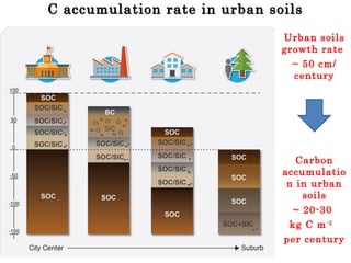 C accumulation rate in urban soilsC accumulation rate in urban soils
Urban soils
growth rate
~ 50 cm/
century
Carbon
accumulatio
n in urban
soils
~ 20-30
kg C m-2
per century
 