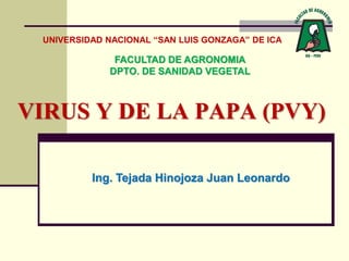 VIRUS Y DE LA PAPA (PVY)
Ing. Tejada Hinojoza Juan Leonardo
FACULTAD DE AGRONOMIA
DPTO. DE SANIDAD VEGETAL
UNIVERSIDAD NACIONAL “SAN LUIS GONZAGA” DE ICA
 