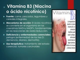  Vitamina B3 (Niacina 
o ácido nicotínico) 
 Fuente: carne, pescados, legumbres y 
cereales integrales. 
 Mecanismo de acción: El ácido nicotínico 
se convierte en el organismo en las 
coenzimas NAD+y NADP+, fundamentales 
en las reacciones de óxido-reducción. 
 Deficiencia y enfermedades carenciales: 
pelagra (enfermedad de las tres D: 
demencia, diarrea, dermatitis). 
 Uso terapéutico: tratamiento del estado 
carencial, tumores carcinoides 
 