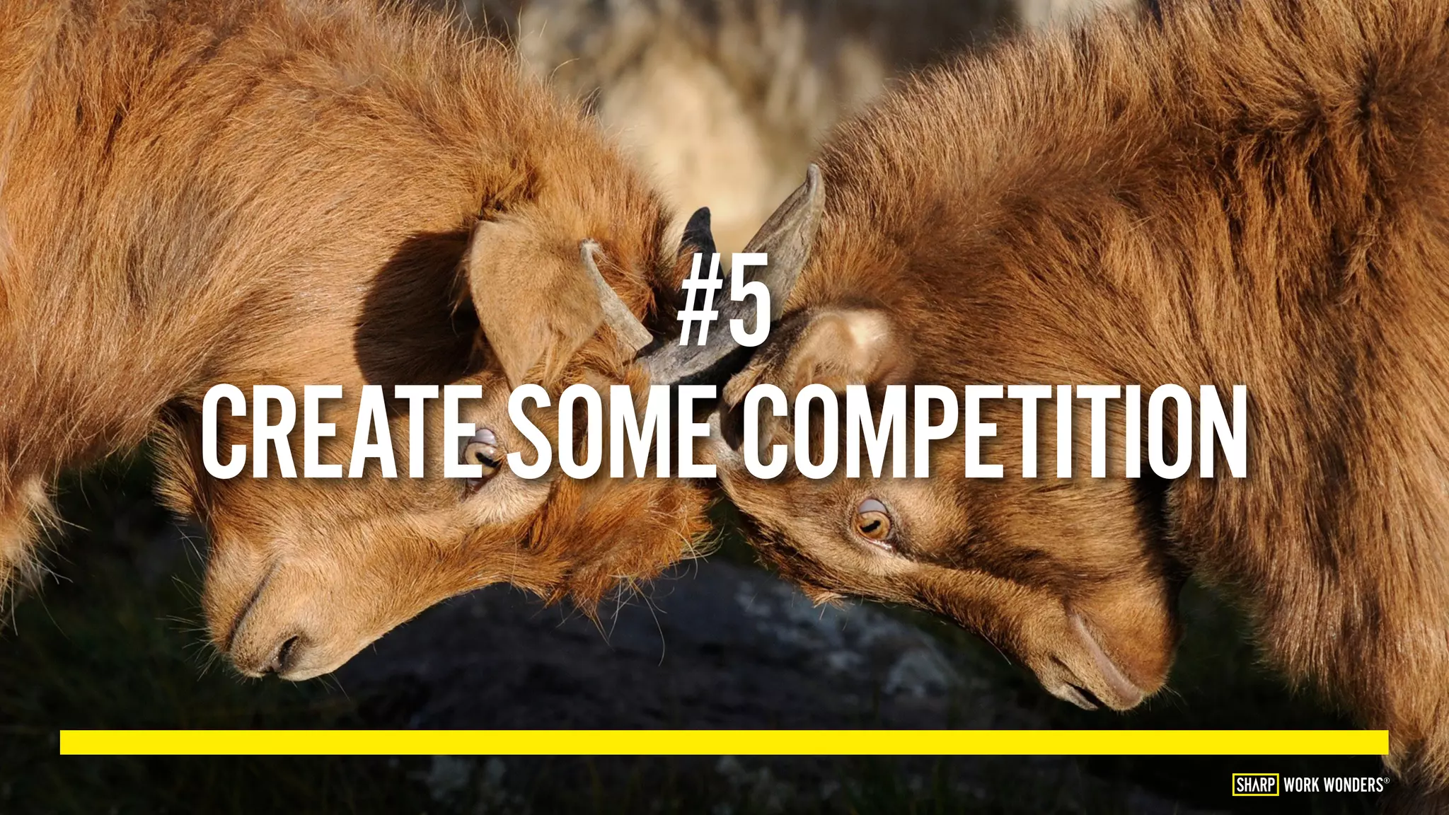 #5
CREATESOMECOMPETITION
WORK WONDERS®
 