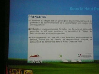 7 weec conclusiones