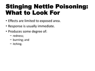 Stinging Nettle Poisoning:
What to Look For
• Effects are limited to exposed area.
• Response is usually immediate.
• Produces some degree of:
− redness;
− burning; and
− itching.
 