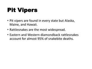 Pit Vipers
• Pit vipers are found in every state but Alaska,
Maine, and Hawaii.
• Rattlesnakes are the most widespread.
• Eastern and Western diamondback rattlesnakes
account for almost 95% of snakebite deaths.
 