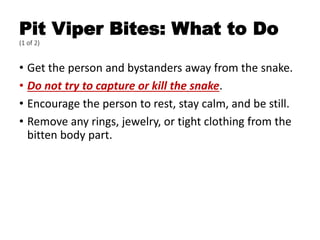 Pit Viper Bites: What to Do
(1 of 2)
• Get the person and bystanders away from the snake.
• Do not try to capture or kill the snake.
• Encourage the person to rest, stay calm, and be still.
• Remove any rings, jewelry, or tight clothing from the
bitten body part.
 