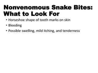 Nonvenomous Snake Bites:
What to Look For
• Horseshoe shape of tooth marks on skin
• Bleeding
• Possible swelling, mild itching, and tenderness
 