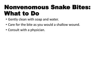 Nonvenomous Snake Bites:
What to Do
• Gently clean with soap and water.
• Care for the bite as you would a shallow wound.
• Consult with a physician.
 
