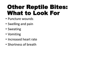 Other Reptile Bites:
What to Look For
• Puncture wounds
• Swelling and pain
• Sweating
• Vomiting
• Increased heart rate
• Shortness of breath
 