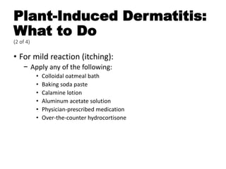 Plant-Induced Dermatitis:
What to Do
(2 of 4)
• For mild reaction (itching):
− Apply any of the following:
• Colloidal oatmeal bath
• Baking soda paste
• Calamine lotion
• Aluminum acetate solution
• Physician-prescribed medication
• Over-the-counter hydrocortisone
 