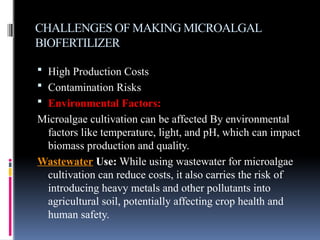 CHALLENGES OF MAKING MICROALGAL
BIOFERTILIZER
 High Production Costs
 Contamination Risks
 Environmental Factors:
Microalgae cultivation can be affected By environmental
factors like temperature, light, and pH, which can impact
biomass production and quality.
Wastewater Use: While using wastewater for microalgae
cultivation can reduce costs, it also carries the risk of
introducing heavy metals and other pollutants into
agricultural soil, potentially affecting crop health and
human safety.
 