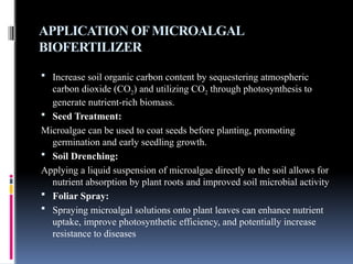 APPLICATION OFMICROALGAL
BIOFERTILIZER
 Increase soil organic carbon content by sequestering atmospheric
carbon dioxide (CO2) and utilizing CO2 through photosynthesis to
generate nutrient-rich biomass.
 Seed Treatment:
Microalgae can be used to coat seeds before planting, promoting
germination and early seedling growth.
 Soil Drenching:
Applying a liquid suspension of microalgae directly to the soil allows for
nutrient absorption by plant roots and improved soil microbial activity
 Foliar Spray:
 Spraying microalgal solutions onto plant leaves can enhance nutrient
uptake, improve photosynthetic efficiency, and potentially increase
resistance to diseases
 