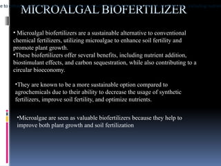 MICROALGAL BIOFERTILIZER
ae to enhance soil fertility and promote plant growth. These biofertilizers offer several benefits, including nutrien
ae to enhance soil fertility and promote plant growth. These biofertilizers offer several benefits, including nutrien
• Microalgal biofertilizers are a sustainable alternative to conventional
chemical fertilizers, utilizing microalgae to enhance soil fertility and
promote plant growth.
•These biofertilizers offer several benefits, including nutrient addition,
biostimulant effects, and carbon sequestration, while also contributing to a
circular bioeconomy.
•They are known to be a more sustainable option compared to
agrochemicals due to their ability to decrease the usage of synthetic
fertilizers, improve soil fertility, and optimize nutrients.
•Microalgae are seen as valuable biofertilizers because they help to
improve both plant growth and soil fertilization
 