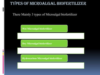 TYPES OF MICROALGAL BIOFERTILIZER
There Mainly 3 types of Microalgal biofertilizer
Wet Microalgal biofertilizer
Dry Microalgal biofertilizer
Hydrocarbon Microalgal biofertilizer
 